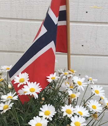 Gratulerer med dagen